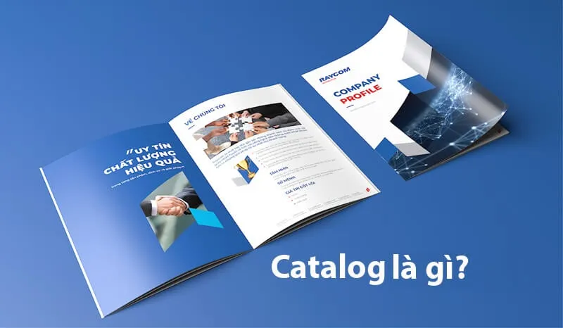Catalogue xây dựng là gì? Catalogue xây dựng là gì?
