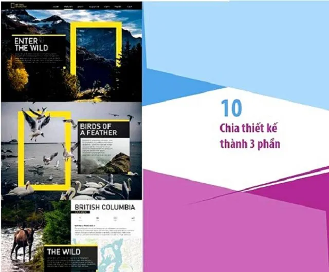 Chia thiết kế thành 3 phần