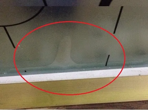 Gạt từ trên xuống Gạt từ trên xuống