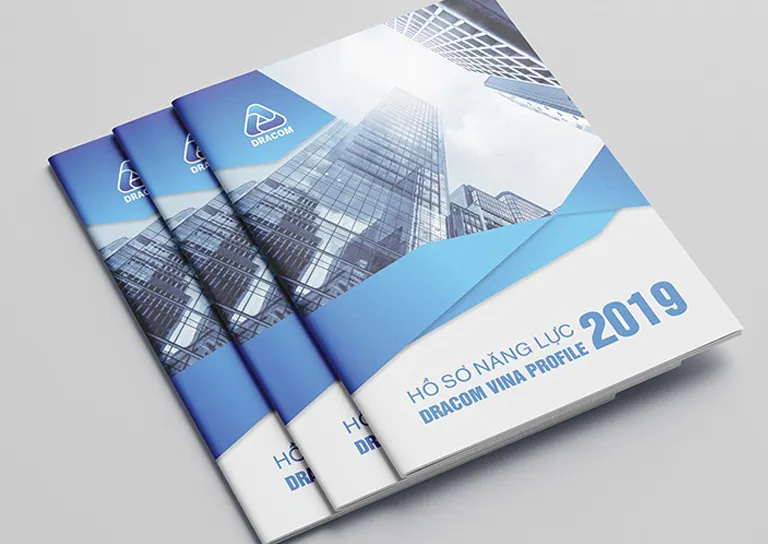 Mẫu in profile năng lực công ty Vina
