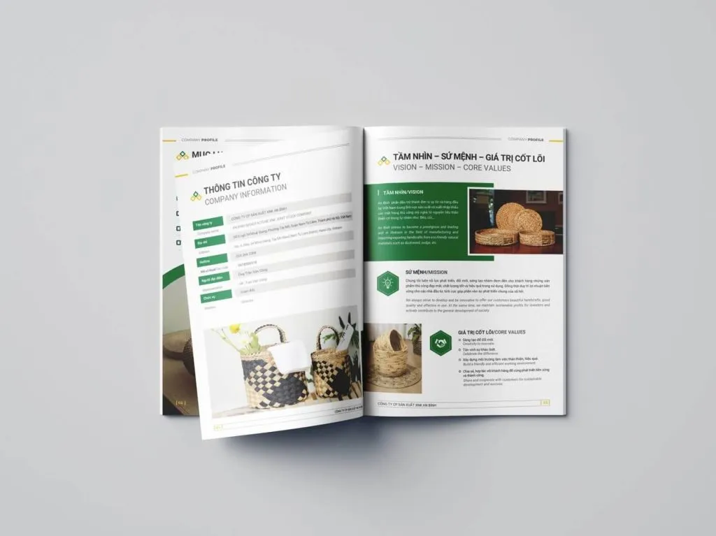 Một số điều cần lưu ý khi in profile năng lực giúp tiết kiệm ngân sách hơn