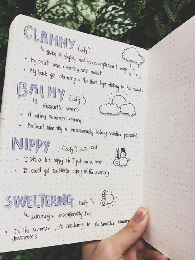 Vẽ ảnh minh họa cho từ vựng Vẽ ảnh minh họa cho từ vựng