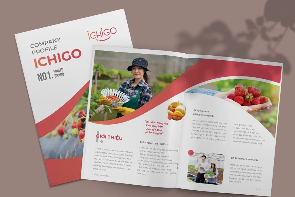 Profile công ty Ichigo