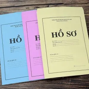 Mẫu in túi giấy đựng hồ sơ