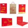 Mẫu in túi giấy đựng lịch tết