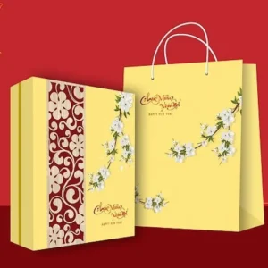 Mẫu in túi giấy đựng quà tết đẹp